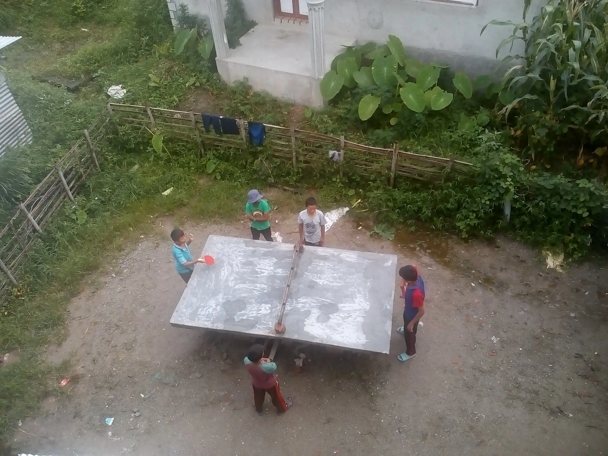 The garden seen from an upper window, with a concrete table and vegetable beds
